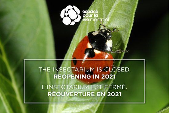 Insectarium de Montréal